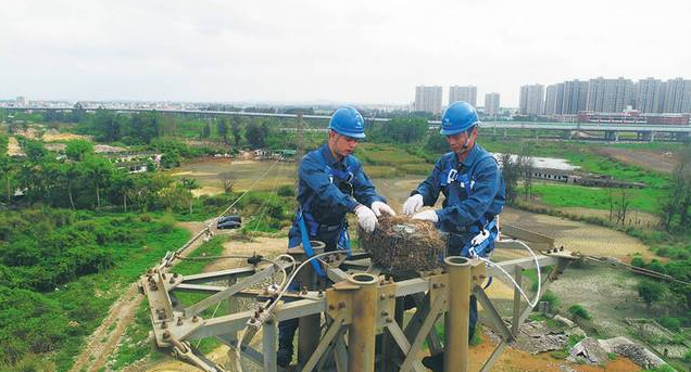 保護(hù)生態(tài)和諧共生，IKAR防墜器出一份力！